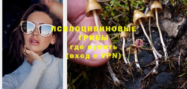 а пвп мука Балабаново
