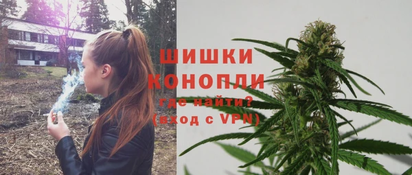 метадон Ельня