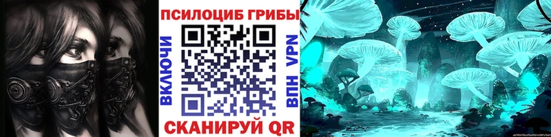 Псилоцибиновые грибы Psilocybe  MEGA ССЫЛКА  Красный Сулин  где купить наркоту 