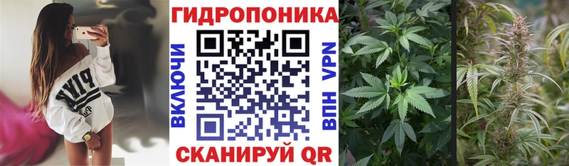 Конопля планчик купить Красный Сулин